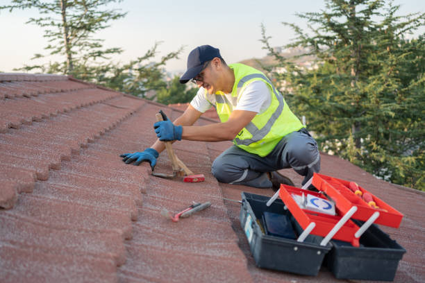 Best Roof Gutter Cleaning  in Hercules, CA