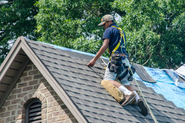Best Commercial Roofing Services  in Hercules, CA
