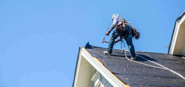 Best Roof Repair Services  in Hercules, CA